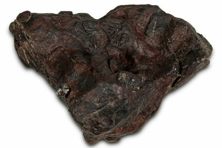 Canyon Diablo Iron Meteorite ( g) - Arizona #356009